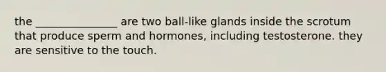 the _______________ are two ball-like glands inside the scrotum that produce sperm and hormones, including testosterone. they are sensitive to the touch.