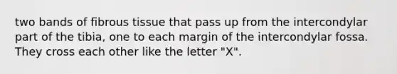 two bands of fibrous tissue that pass up from the intercondylar part of the tibia, one to each margin of the intercondylar fossa. They cross each other like the letter "X".