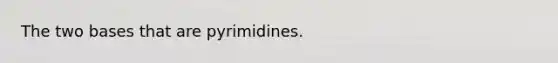 The two bases that are pyrimidines.