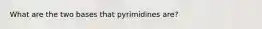 What are the two bases that pyrimidines are?