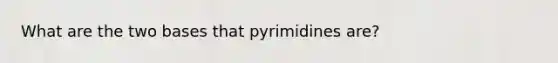 What are the two bases that pyrimidines are?