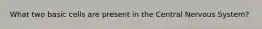 What two basic cells are present in the Central Nervous System?