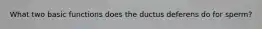 What two basic functions does the ductus deferens do for sperm?