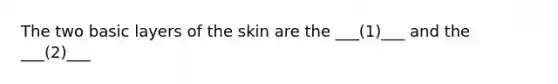 The two basic layers of the skin are the ___(1)___ and the ___(2)___