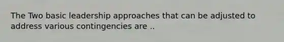 The Two basic leadership approaches that can be adjusted to address various contingencies are ..