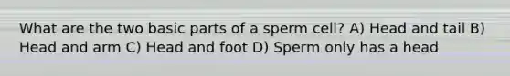 What are the two basic parts of a sperm cell? A) Head and tail B) Head and arm C) Head and foot D) Sperm only has a head