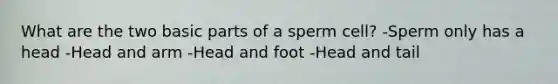 What are the two basic parts of a sperm cell? -Sperm only has a head -Head and arm -Head and foot -Head and tail