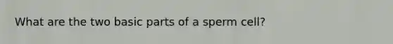 What are the two basic parts of a sperm cell?