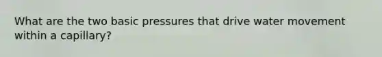 What are the two basic pressures that drive water movement within a capillary?