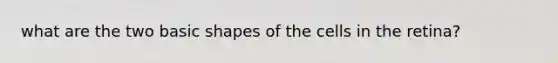 what are the two basic shapes of the cells in the retina?