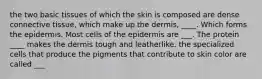 the two basic tissues of which the skin is composed are dense connective tissue, which make up the dermis, ____. Which forms the epidermis. Most cells of the epidermis are ___. The protein ____ makes the dermis tough and leatherlike. the specialized cells that produce the pigments that contribute to skin color are called ___