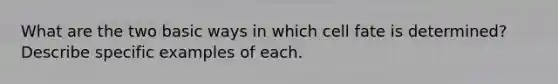 What are the two basic ways in which cell fate is determined? Describe specific examples of each.