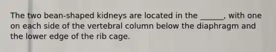 The two bean-shaped kidneys are located in the ______, with one on each side of the vertebral column below the diaphragm and the lower edge of the rib cage.