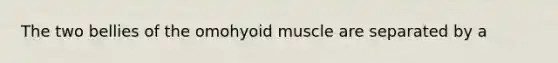 The two bellies of the omohyoid muscle are separated by a