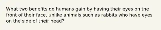 What two benefits do humans gain by having their eyes on the front of their face, unlike animals such as rabbits who have eyes on the side of their head?