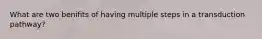 What are two benifits of having multiple steps in a transduction pathway?