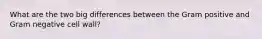 What are the two big differences between the Gram positive and Gram negative cell wall?