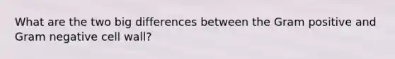 What are the two big differences between the Gram positive and Gram negative cell wall?