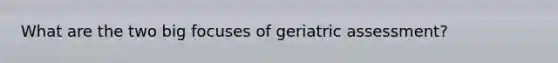 What are the two big focuses of geriatric assessment?