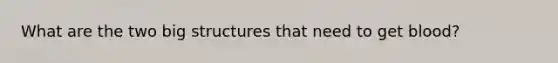What are the two big structures that need to get blood?