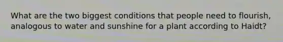 What are the two biggest conditions that people need to flourish, analogous to water and sunshine for a plant according to Haidt?