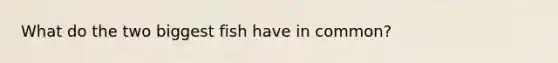What do the two biggest fish have in common?