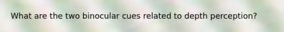 What are the two binocular cues related to depth perception?