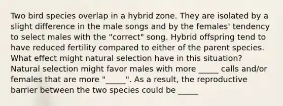 Two bird species overlap in a hybrid zone. They are isolated by a slight difference in the male songs and by the females' tendency to select males with the "correct" song. Hybrid offspring tend to have reduced fertility compared to either of the parent species. What effect might natural selection have in this situation? Natural selection might favor males with more _____ calls and/or females that are more "_____". As a result, the reproductive barrier between the two species could be _____