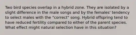 Two bird species overlap in a hybrid zone. They are isolated by a slight difference in the male songs and by the females' tendency to select males with the "correct" song. Hybrid offspring tend to have reduced fertility compared to either of the parent species. What effect might natural selection have in this situation?