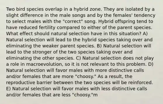 Two bird species overlap in a hybrid zone. They are isolated by a slight difference in the male songs and by the females' tendency to select males with the "correct" song. Hybrid offspring tend to have reduced fertility compared to either of the parent species. What effect should natural selection have in this situation? A) Natural selection will lead to the hybrid species taking over and eliminating the weaker parent species. B) Natural selection will lead to the stronger of the two species taking over and eliminating the other species. C) Natural selection does not play a role in macroevolution, so it is not relevant to this problem. D) Natural selection will favor males with more distinctive calls and/or females that are more "choosy." As a result, the reproductive barrier between the two species will be reinforced. E) Natural selection will favor males with less distinctive calls and/or females that are less "choosy."m