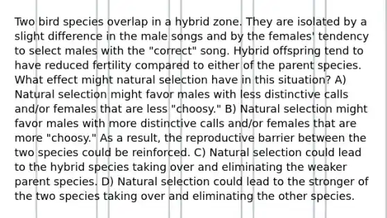 Two bird species overlap in a hybrid zone. They are isolated by a slight difference in the male songs and by the females' tendency to select males with the "correct" song. Hybrid offspring tend to have reduced fertility compared to either of the parent species. What effect might natural selection have in this situation? A) Natural selection might favor males with less distinctive calls and/or females that are less "choosy." B) Natural selection might favor males with more distinctive calls and/or females that are more "choosy." As a result, the reproductive barrier between the two species could be reinforced. C) Natural selection could lead to the hybrid species taking over and eliminating the weaker parent species. D) Natural selection could lead to the stronger of the two species taking over and eliminating the other species.