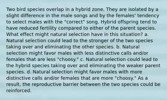 Two bird species overlap in a hybrid zone. They are isolated by a slight difference in the male songs and by the females' tendency to select males with the "correct" song. Hybrid offspring tend to have reduced fertility compared to either of the parent species. What effect might natural selection have in this situation? a. Natural selection could lead to the stronger of the two species taking over and eliminating the other species. b. Natural selection might favor males with less distinctive calls and/or females that are less "choosy." c. Natural selection could lead to the hybrid species taking over and eliminating the weaker parent species. d. Natural selection might favor males with more distinctive calls and/or females that are more "choosy." As a result, the reproductive barrier between the two species could be reinforced.