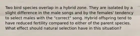 Two bird species overlap in a hybrid zone. They are isolated by a slight difference in the male songs and by the females' tendency to select males with the "correct" song. Hybrid offspring tend to have reduced fertility compared to either of the parent species. What effect should natural selection have in this situation?