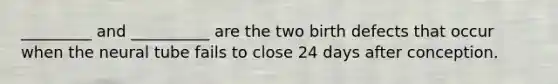 _________ and __________ are the two birth defects that occur when the neural tube fails to close 24 days after conception.