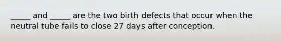 _____ and _____ are the two birth defects that occur when the neutral tube fails to close 27 days after conception.