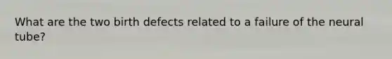 What are the two birth defects related to a failure of the neural tube?