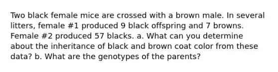 Two black female mice are crossed with a brown male. In several litters, female #1 produced 9 black offspring and 7 browns. Female #2 produced 57 blacks. a. What can you determine about the inheritance of black and brown coat color from these data? b. What are the genotypes of the parents?