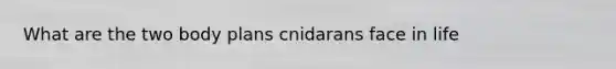 What are the two body plans cnidarans face in life