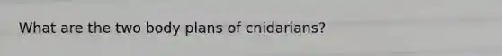 What are the two body plans of cnidarians?