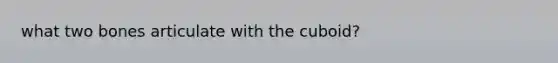 what two bones articulate with the cuboid?