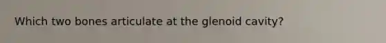 Which two bones articulate at the glenoid cavity?