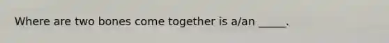 Where are two bones come together is a/an _____.