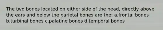 The two bones located on either side of the head, directly above the ears and below the parietal bones are the: a.frontal bones b.turbinal bones c.palatine bones d.temporal bones