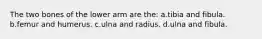 The two bones of the lower arm are the: a.tibia and fibula. b.femur and humerus. c.ulna and radius. d.ulna and fibula.