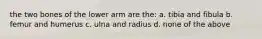 the two bones of the lower arm are the: a. tibia and fibula b. femur and humerus c. ulna and radius d. none of the above