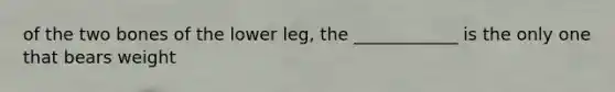 of the two bones of the lower leg, the ____________ is the only one that bears weight