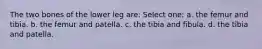 The two bones of the lower leg are: Select one: a. the femur and tibia. b. the femur and patella. c. the tibia and fibula. d. the tibia and patella.