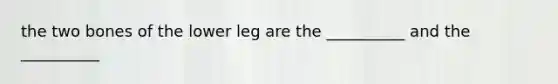 the two bones of the lower leg are the __________ and the __________