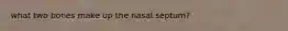 what two bones make up the nasal septum?