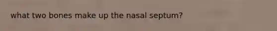 what two bones make up the nasal septum?